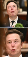 1778830040084.png 1778830040084.png