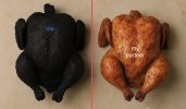 IMG_0372.jpeg