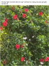 IMG_0411.jpeg