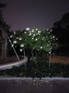 IMG_3635.jpeg