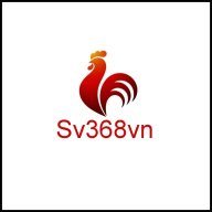 zizisv368vn