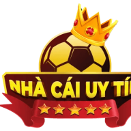 nhacaiuytinir