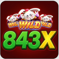 843xorg