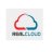 realcloudinfo